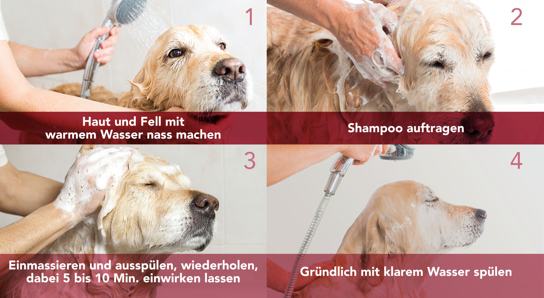SEBOLYTIC Dermatologisches Shampoo fur Hunde und Katzen